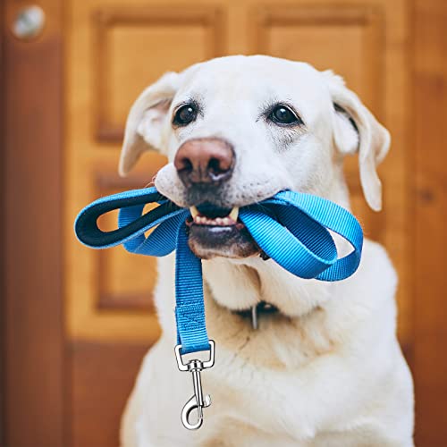 Vicenpal 12 Pcs Double Sided Reflective Dog Leash with Soft Padded Handle, Bulk Nylon Animal Leashes for Medium and Large Dogs Heavy Duty Animal Leash for Walking, Training, 6 Colors(6 ft,Cute Colors)
