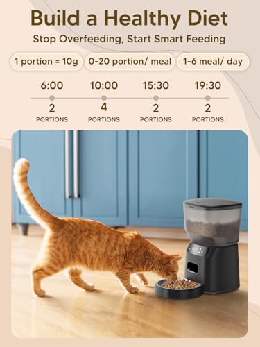 Automatic Cat Feeder and Water Fountain, 4L/16 Cups Timed Cat Dry Food Dispenser, 10s Meal Call, 20 Portions 6 Meals Per Day, 2L Cats Fountains for Drinking with Filter, Pet Feeder for Dog