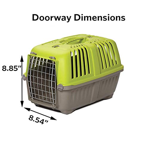 MidWest Homes for Pets Spree Travel Carrier - Hard-Sided Dog & Cat Carrier, Small Pet Travel Crate with Handle, Ventilated Design, Easy Assembly, 24-Inch, Blue