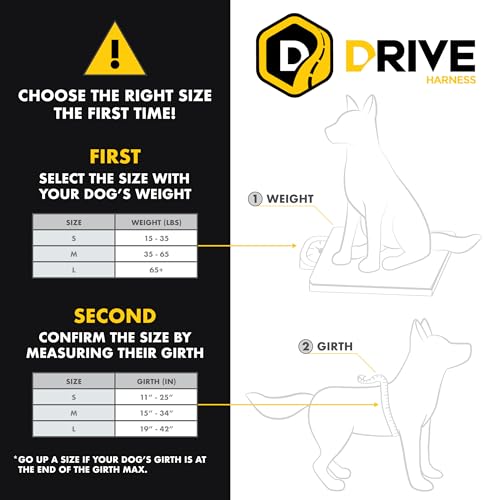 Ezydog Drive Dog Car Harness – Crash Tested and Certified (US-FMVSS 213) Dog Seat Belt Harness for Safe Travel, Adjustable with Padded Comfort (Medium)