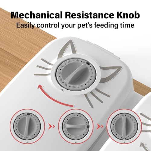 NeatenWise 2-Meal Timed Cat Feeder, 48H Wet Food Dispenser with Ice Packs, 700ml Capacity, Battery Powered for Cats & Small Dogs