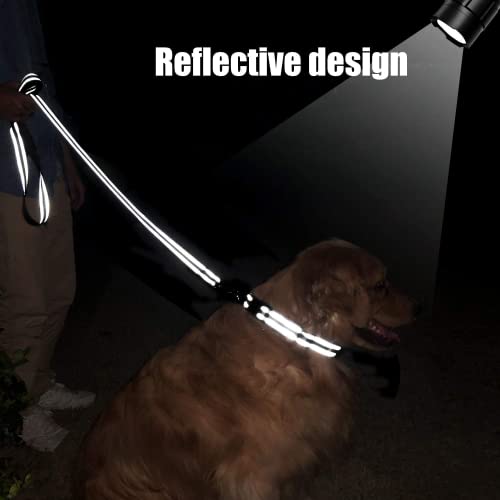 FunTags 6FT Black Reflective Dog Leash for Large & Medium Dogs Walking, Soft Padded Handle Comfortable Grip, Heavy Duty Nylon, Reflective for Night Walking, 1in Wide