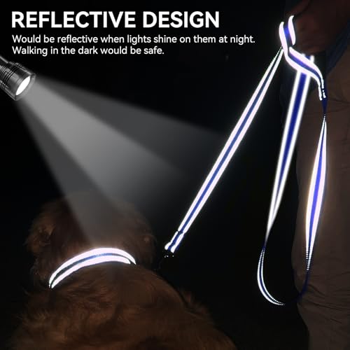 Joytale Dog Leash, 6 FT Double-Sided Reflective, Padded Handle Nylon Heavy Duty Leashes for Medium & Large Dogs Walking, Navy Blue