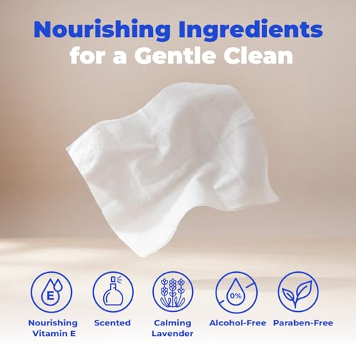 Best Pet Supplies 8" x 9" Large Dog Wipes - Cleaning and Deodorizing for Paws and Coat - Gentle Formula with Lavender Vitamin E for Puppies and Cats - 100 Count