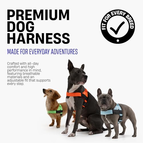 Dog Friendly Co. Dog Harness | Chafe Resistant Webbing, Adjustable Neck & Chest, and Heavy Duty D-Ring | Sturdy, Comfortable, Easy to Use | Pink, Size L