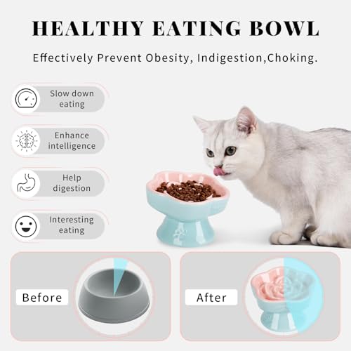 S&Q's CERAMICS Raised Slow Feeder Cat Bowl, Ceramic Elevated and Titled Glass Food Bowl Small Dogs Slow Feeder, Flower Shaped Cute Cat Dish for Dry and Wet Food (Pink, 5.8")