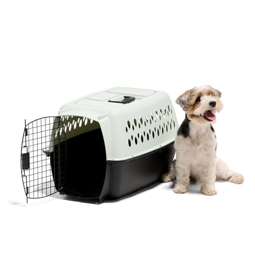 Petmate Pet Porter Fashion Dog Kennel Plastic Crate for Pets 15-20 lbs, Pet Carrier For Home and Travel, Made in USA, 24" L x 14.5" H, Pale Aqua and Black