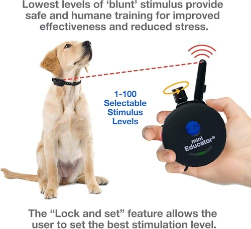 Mini Educator E-Collar ET-300 / ET-302 Dog Training Collar System with Remote - 1/2 Mile Range - Waterproof, Vibration, Sensation - Includes eOutletDeals Pet Towel (1 Dog System - ET-300 Black)