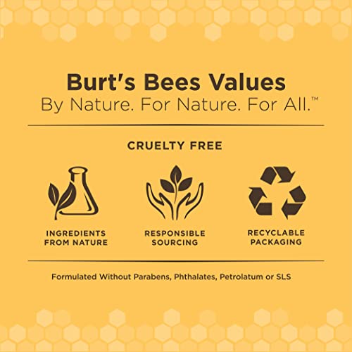 Burt's Bees for Pets Kitten Grooming Wipes with Buttermilk and Honey, Waterless Cat Bath Wipes for Face, Paws, Tail and Coat Cleaning, Gentle Bath Alternative for Indoor Felines, 50 Count