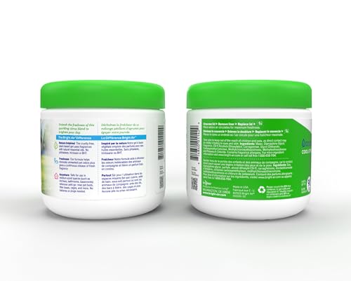 Bright Air 14 oz. Super Odor Eliminator, for Medium-Size Spaces, Cool Citrus Scent, Case of 6, Air Freshener, Natural Essential Oils, Lasts Up to 90 Days Each