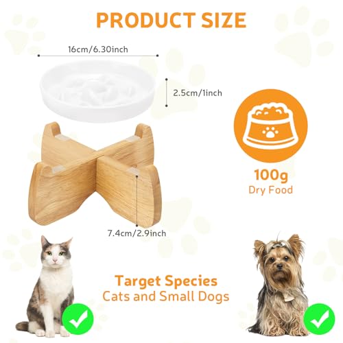 GUWINA Raised Slow Feeder Cat Bowl with Stand, 6.3'' Wide Ceramic Elevated Shallow Slow Eating Cat Bowl for Dry/Wet Food, Anti-Vomiting Pet Puzzle Feeder, Whisker Friendly, Dishwasher Safe (White)