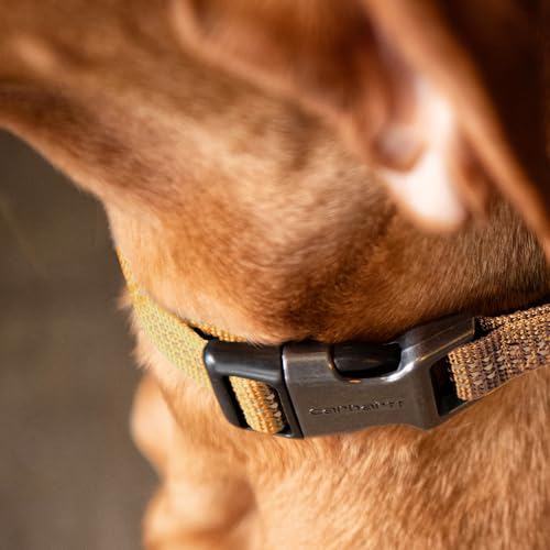 Carhartt Nylon Webbing Dog Collar, Fully Adjustable W/Durable Side Release Buckle and Reflective Stitching, Shaded Spruce, Medium