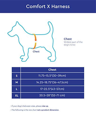 Gooby Comfort X Head in Harness - Blue, Large - No Pull Small Dog Harness, Patented Choke-Free X Frame - Perfect on The Go Dog Harness for Medium Dogs No Pull or Small Dogs for Indoor and Outdoor Use