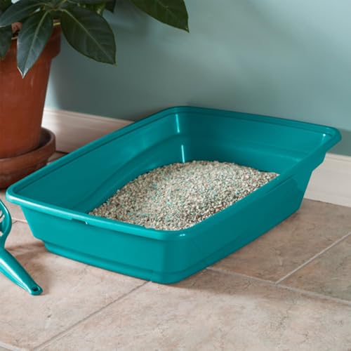 Sterilite Large Cat Litter Pan, High Sides and Low Entry for Easy Access, Plastic, Teal, 6-Pack