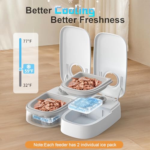 NeatenWise 2-Meal Timed Cat Feeder, 48H Wet Food Dispenser with Ice Packs, 700ml Capacity, Battery Powered for Cats & Small Dogs