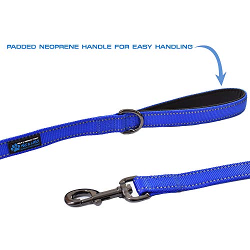 Max and Neo Double Handle Traffic Dog Leash - Reflective, Donates to Dog Rescue (Teal, 6 FT)