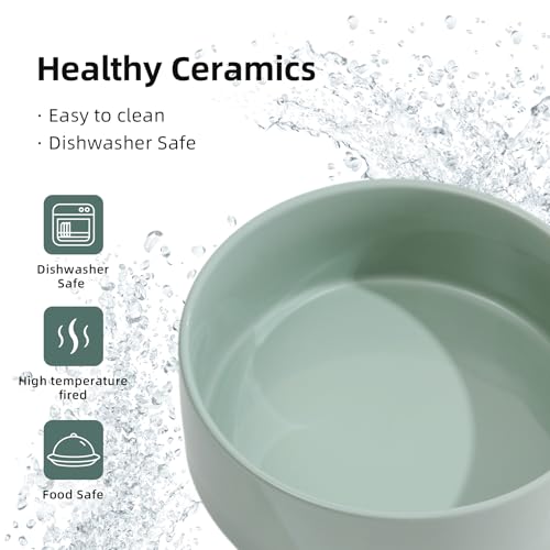 Havniva 6.1inch Ceramic Raised Dog Bowl with Stand, Double Dog Bowls Elevated for Small and Medium Breed Dog Food and Water Bowl Set Non-Slip Dog Dish Large Capacity Feeding Pet Water Bowl