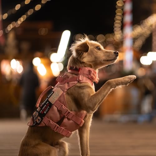 OneTigris Tough Dog Collars, Tactical Dog Collar with Handle, Milltary Adjustable Dog Collar with Heavy Duty Metal Buckle for Training (Large,Pink)
