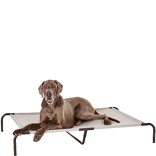 Amazon Basics Cooling Breathable Elevated Pet Bed with Metal Frame for Large Dogs, X-Large (60.1 x 37.1 x 8.9 Inches), Grey, 1 Count