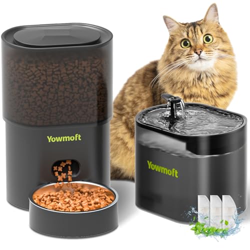 Automatic Cat Feeder & Fountain, 3L Timed Dry Food Dispenser, 10 Portions 1-4 Daily Meals, Auto Feeder with Desiccant Bag, Water Dispenser with Filter, Wire or Battery Powered