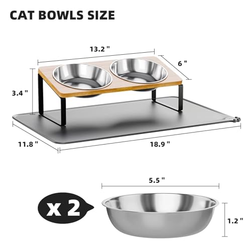 Elevated Whisker Friendly Cat Bowls, 15 Tilted Stand Anti Vomiting Raised Dishes for Food and Water, Stainless Steel Bowls for Cats and Puppy