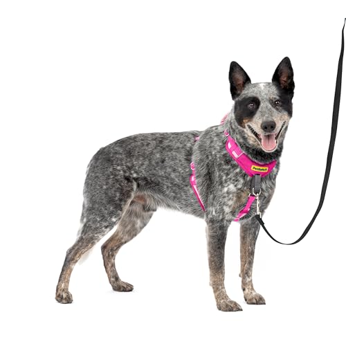 PetSafe Easy Walk Comfort No-Pull Dog Harness Full-Body Padding - Better Walks on the First Use - 5 Points of Adjustment Medium, Pink