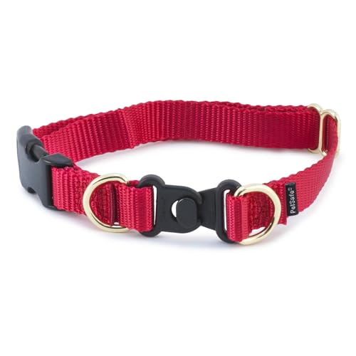 PetSafe KeepSafe Break-Away Collar 1 in Wide, Medium, Red Prevent Collar Accidents for Your Dog or Puppy Improve Safety, Compatible with Leash Use, Adjustable Sizes