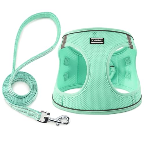 Dog Harness with Leash Set, No Pull Adjustable Reflective Step-in Puppy Pet Vest Harnesses for Small Medium Large Dogs and Cats,Green XS