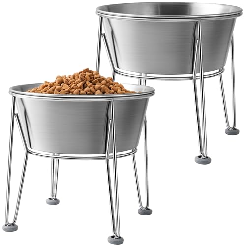 Wellbro Elevated Dog Bowls for Large & Medium Dogs - Stainless Steel 64oz/8 Cup Raised Feeder with Non-Slip Base, Dual Food & Water Bowls 2-Pack