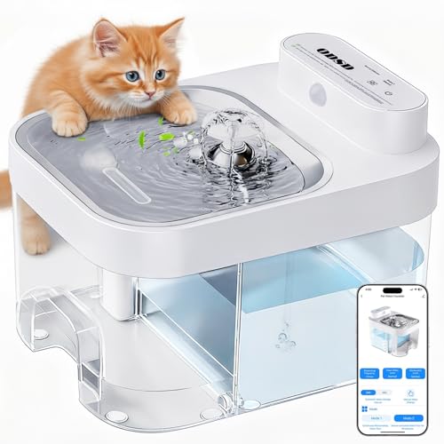 ODSD Cat Water Fountain, App Monitoring Wastewater Separation & No Filter Cotton, Pet Water Fountain with 101oz/3L Large Capacity Tank, Wireless Automatic Water Dispenser for Cats Indoor, 2.4G Wi-Fi