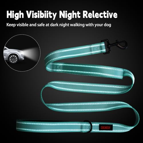 Heavy Duty Dog Leash with 2 Handles - 6ft Reflective Anti-Pull Leash for Large Dogs, Padded Traffic Handle for Control, Durable Nylon Training Lead (Black)