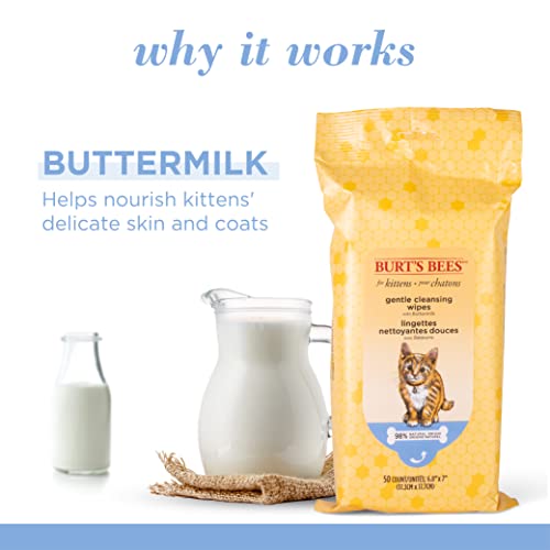 Burt's Bees for Pets Kitten Grooming Wipes with Buttermilk and Honey, Waterless Cat Bath Wipes for Face, Paws, Tail and Coat Cleaning, Gentle Bath Alternative for Indoor Felines, 50 Count