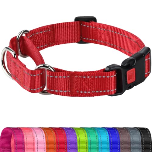 Joytale Martingale Collar for Dogs, Reflective Escape Proof Training Dog Collars with Safety Lock Buckle, No Slip Soft Nylon for Medium Pets, Red, M