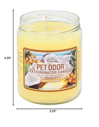Specialty Pet Products Pet Odor Exterminator Candle, Pineapple & Coconut - Pack of 2