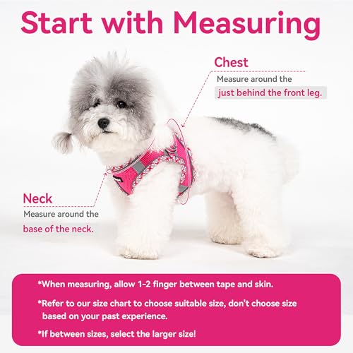 Petank Dog Harness for Small Medium Dogs No Pull, Puppy Harness and Leash Set, Step in Dog Harness for Walking, Running, Training, Small Dog Vest(Purple, S)