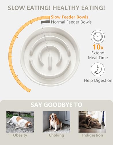 MOPANG Ceramic Slow Feeder Dog Bowls Elevated, 2.0 Cups Slow Feeder for Medium Dogs, Puzzle Maze Bowl to Slow Down Eating, 30oz, 8in, White