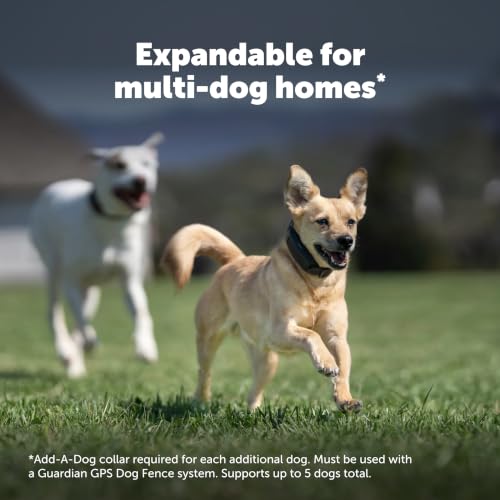 PetSafe Guardian GPS Dog Fence No Subscription Create Your Own Wireless Dog Fence Single-Yard Fence for Yards 3/4 Acres or Larger World's Safest GPS Dog Fence Tech New, Redesigned Collar