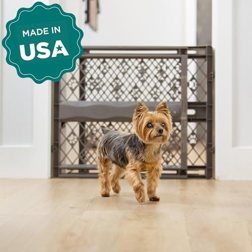 MYPET Paws Portable Pet Gate: 26-40" Wide Expandable, Pressure Mounted No Tools Needed, Durable Dog Gate for Doorways, Made in USA, 23" Tall, Fieldstone Gray