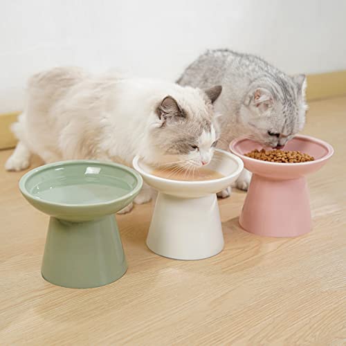 CEEFU Extra Wide Elevated Ceramic Cat Bowl - 6.2" Shallow Dish for Whisker Fatigue Relief, 5" Height for Easy Feeding, Lead & Cadmium Free, Durable Raised Cat Food Bowls, White