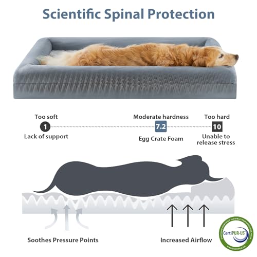 WNPETHOME XL Extra Large Dog Bed, Washable Dog Couch with Removable Waterproof Cover, Orthopedic Large Pet Sofa Bed with Bolster Sides for Sleeping