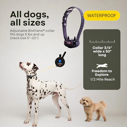 Mini Educator E-Collar ET-300 / ET-302 Dog Training Collar System with Remote - 1/2 Mile Range - Waterproof, Vibration, Sensation - Includes eOutletDeals Pet Towel (1 Dog System - ET-300 Black)