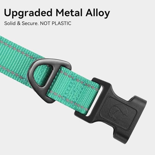 Joytale Reflective Dog Collar, Soft Neoprene Padded, Metal D-Ring, Nylon Pet Collar Adjustable for Large Dogs, Teal, L