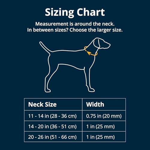 Ruffwear, Crag Dog Collar, Stylish Adventure Collar with Premium Reflective Design, Quick Release Buckle, Lightweight All-Day Comfort, Rising Wave, 14"-20"