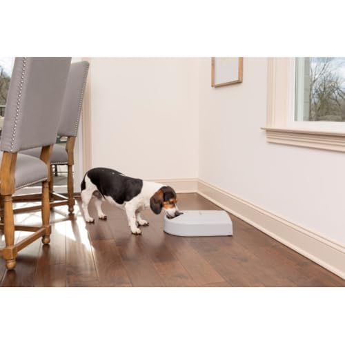 PetSafe Automatic Dog Feeder, 5 Meals, 40 oz Capacity, Plastic, for Dry Food, Multiple Pets