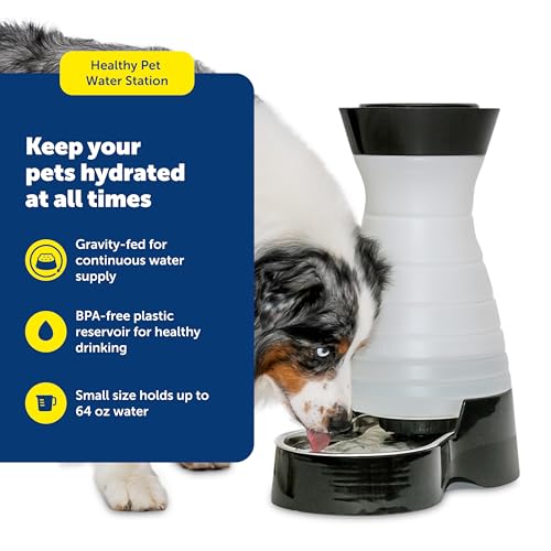 PetSafe Healthy Pet Water Station - Small, 64 oz Capacity - Gravity Pet Water Fountain, Automatic Cat Water Fountain, Dog Water Fountain, Water Dispenser - Removable Stainless Steel Bowl Included