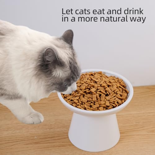 KITCHENLESTAR 6.2 Inch Extra Wide Elevated Ceramic Cat Bowls, Food and Water Bowl Set for Elder Big Cats Small Dogs, Raised Design for Pet Easy Eating, Protect Cat's Spine Set of 2(White)