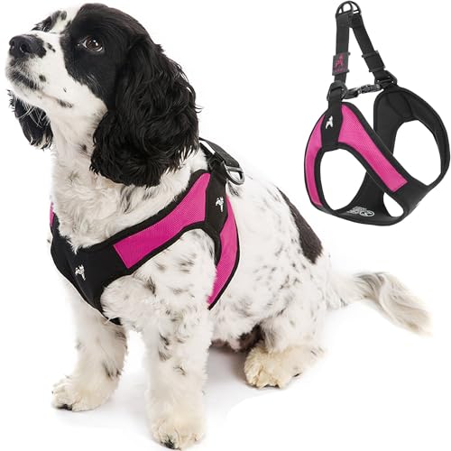 Gooby Escape Free Easy Fit Harness - Hot Pink, Medium - No Pull Step-in Patented Small Dog Harness with Quick Release Buckle - Perfect On The Go No Pull Harness for Small Dogs or Medium Dog Harness