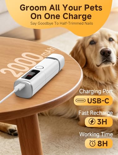 Ckin pet Dog Nail Grinder, Quiet Electric Dog Nail Trimmer with 2 LED Lights, 3-Speed Pet Nail Grinder for Dogs & Cats, Rechargeable 2000mAh Nail Grinder for Small Medium Large Dogs with Light, White