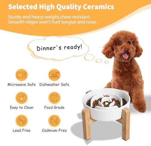 Elevated Slow Feeder Dog Bowl - Ceramic Maze Food Dish with Bamboo Stand - Raised Feeding Bowl for Fast Eaters - Ideal for Small and Medium Dogs - White - 6.7 inch