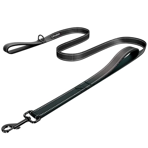 LIEVUIKEN Dog Leash 4ft Long, Double Handle Dog Leash for Safety Control Training, Heavy Duty Dogs Leads with Traffic Padded Handles, Reflective Leashes for Small Medium Large Dogs(4ft, Black)